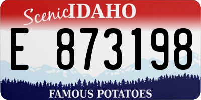 ID license plate E873198