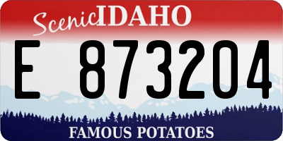 ID license plate E873204