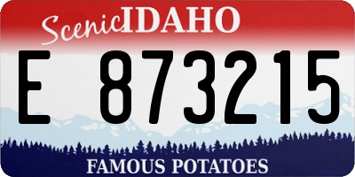 ID license plate E873215