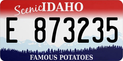 ID license plate E873235
