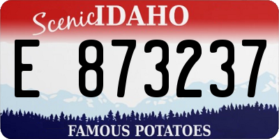 ID license plate E873237