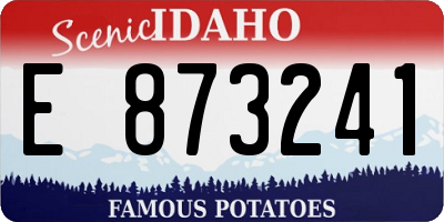 ID license plate E873241