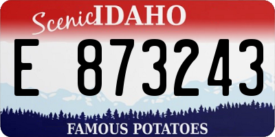 ID license plate E873243