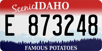 ID license plate E873248