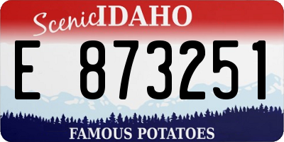 ID license plate E873251