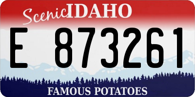ID license plate E873261