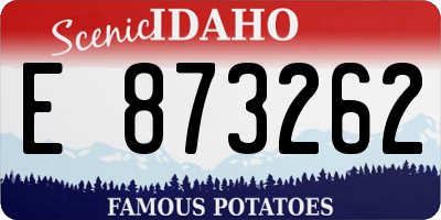 ID license plate E873262
