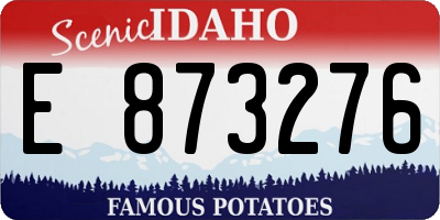 ID license plate E873276