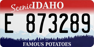 ID license plate E873289