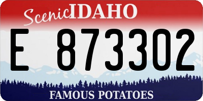 ID license plate E873302
