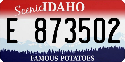 ID license plate E873502