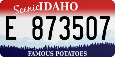 ID license plate E873507