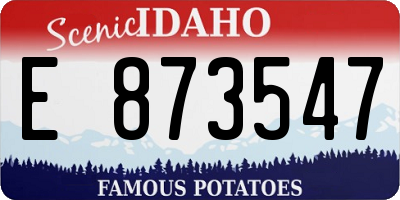 ID license plate E873547