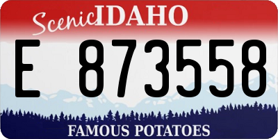 ID license plate E873558