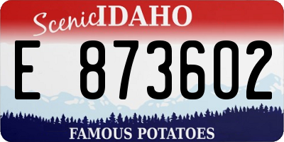 ID license plate E873602