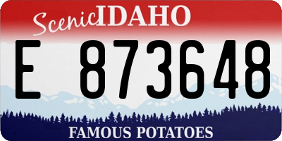 ID license plate E873648