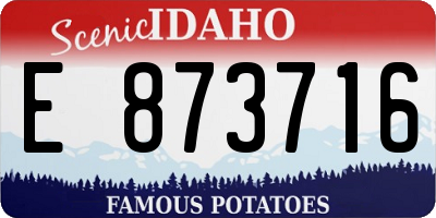 ID license plate E873716