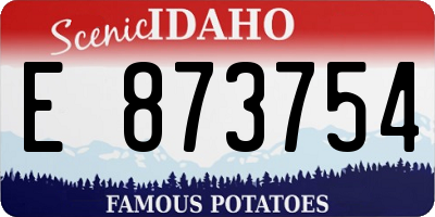 ID license plate E873754