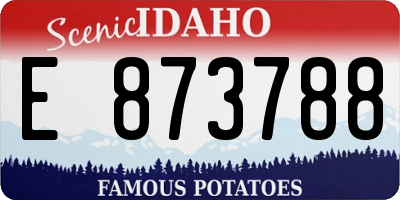 ID license plate E873788