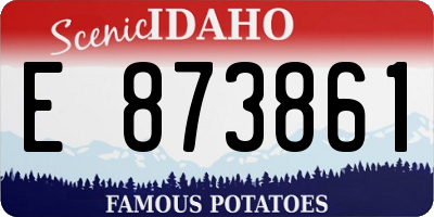 ID license plate E873861