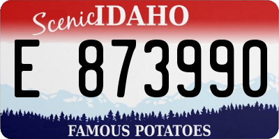 ID license plate E873990