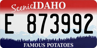 ID license plate E873992