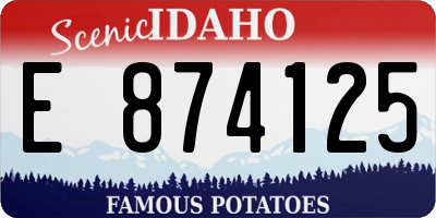 ID license plate E874125