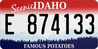 ID license plate E874133