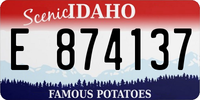 ID license plate E874137