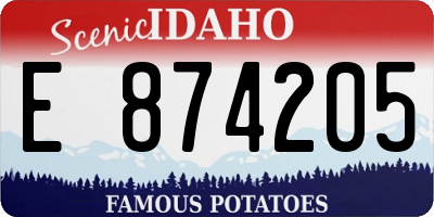 ID license plate E874205