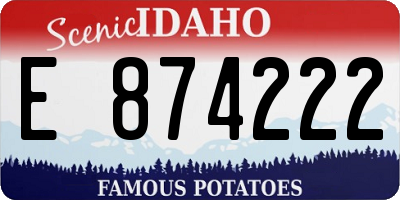 ID license plate E874222