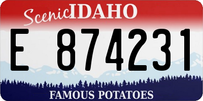 ID license plate E874231