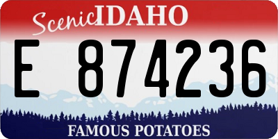 ID license plate E874236