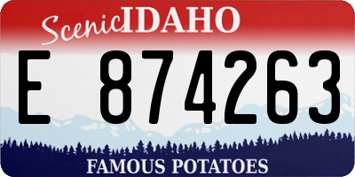 ID license plate E874263