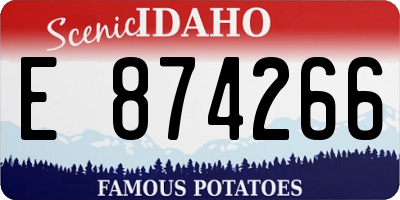 ID license plate E874266