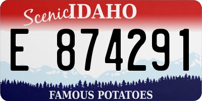 ID license plate E874291