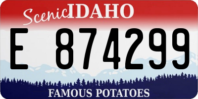 ID license plate E874299