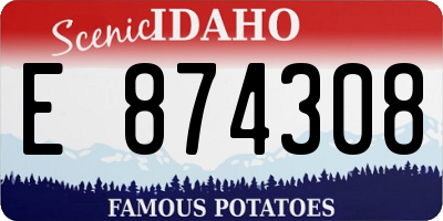 ID license plate E874308
