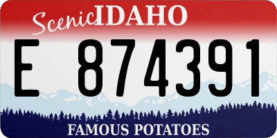 ID license plate E874391