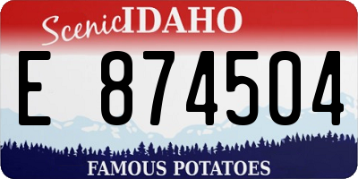 ID license plate E874504