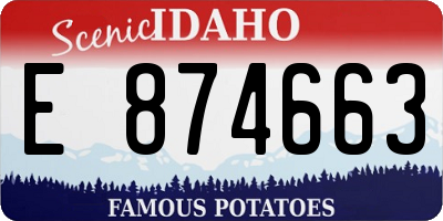 ID license plate E874663