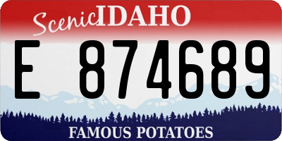 ID license plate E874689