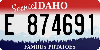 ID license plate E874691
