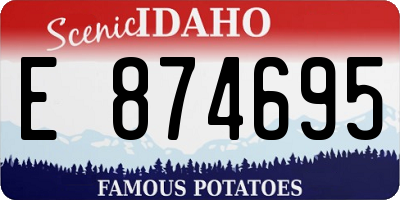 ID license plate E874695