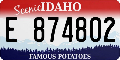 ID license plate E874802