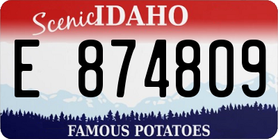 ID license plate E874809