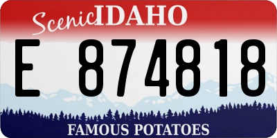 ID license plate E874818