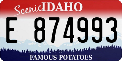 ID license plate E874993