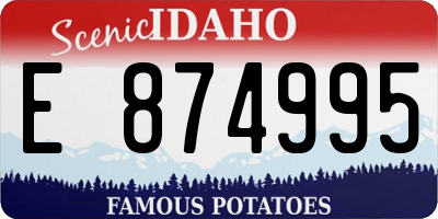 ID license plate E874995