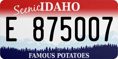 ID license plate E875007